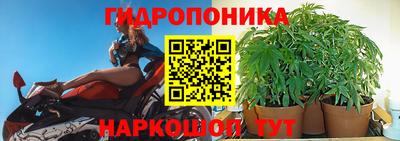 СК Балашиха