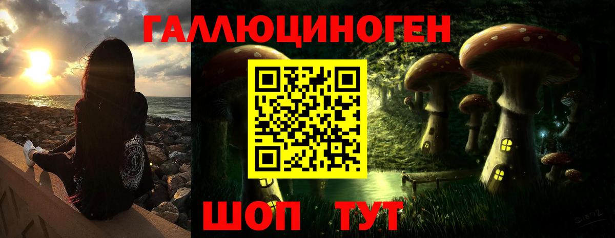 Псилоцибиновые грибы Psilocybe  Галлюциногенные грибы GOLDEN TEACHER  Вход с VPN  Дзержинск 